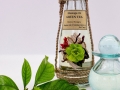 bali-tangi-green-tea-massage-oil-3